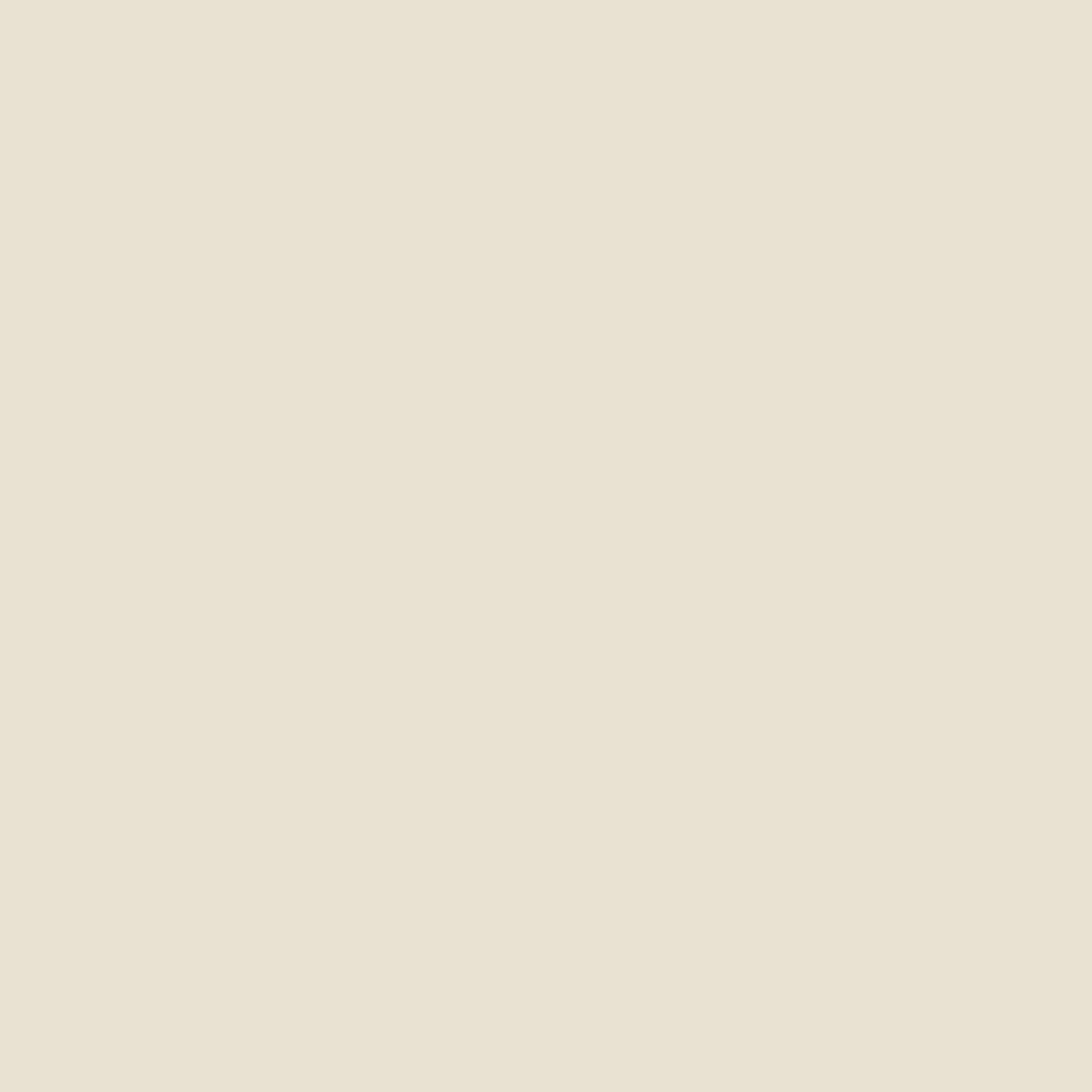 Solid light beige, perfect for Ceramic Nonstick Saute Pan cookware.